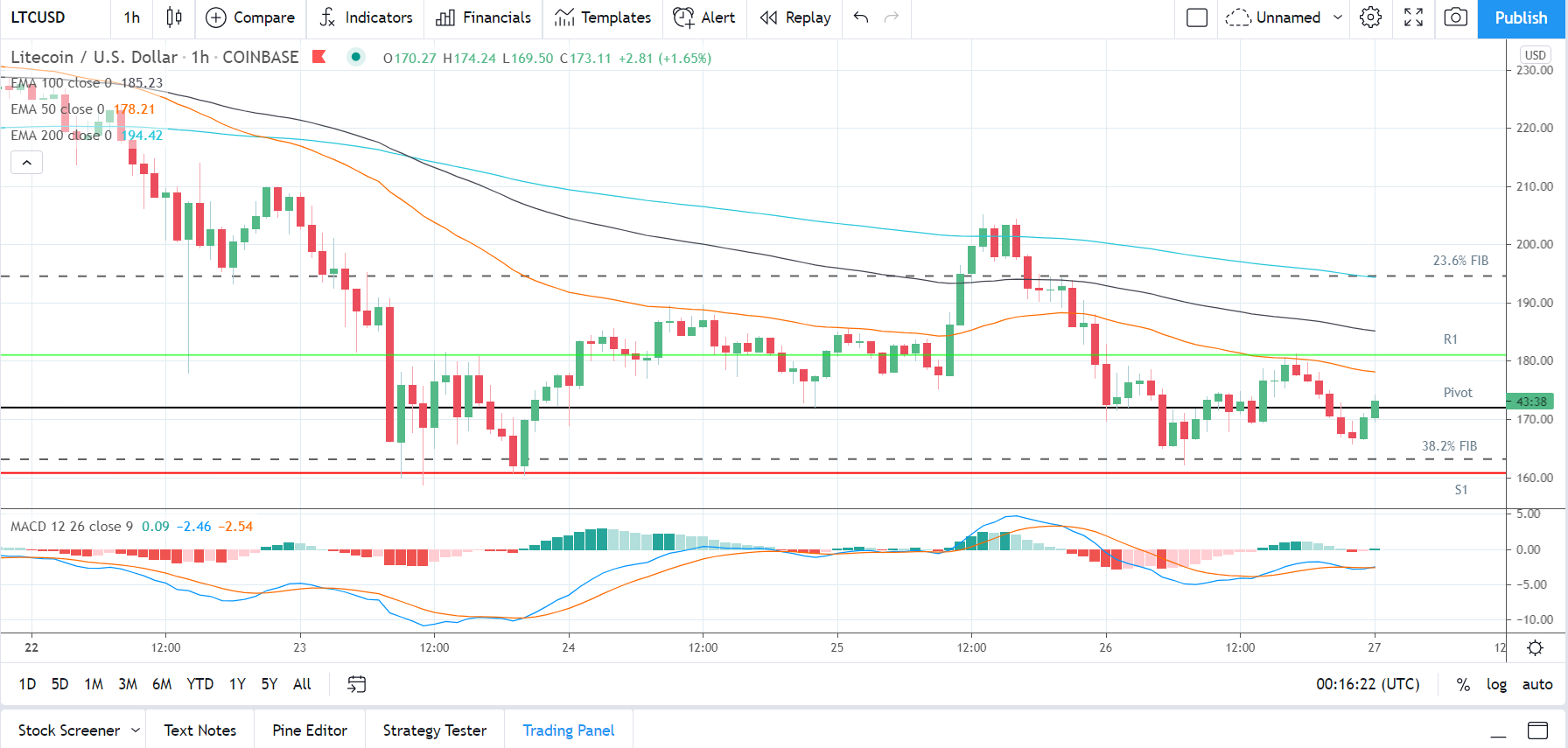 LTCUSD 270221 Hourly Chart